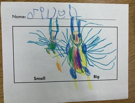 Student colorful drawing of a spider