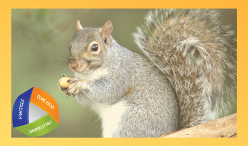 Picture of squirrel holding a nut with NGSS logo in corner